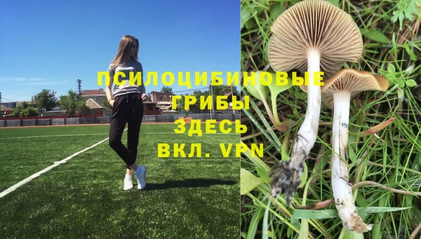 марки nbome Арсеньев