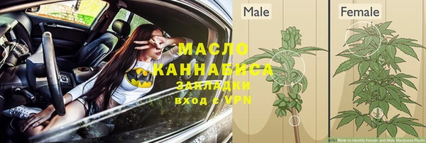 крисы Аркадак