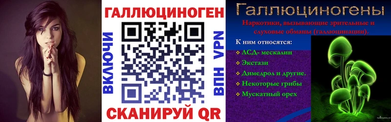 Псилоцибиновые грибы Psilocybine cubensis  Унеча 